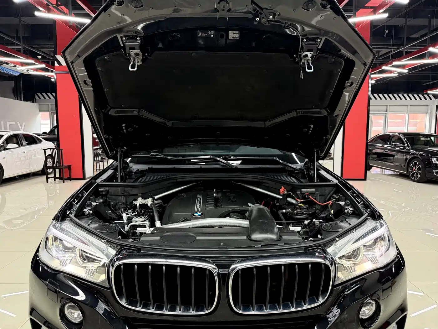 BMW X5 (Import) 2015 Model xDrive35i China Limited Edition фото 23