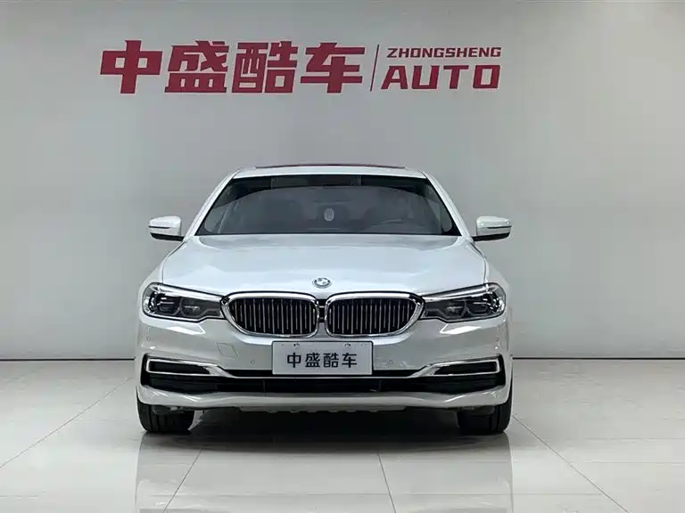 BMW 5 Series 2020 530Li xDrive Luxury Package фото 2