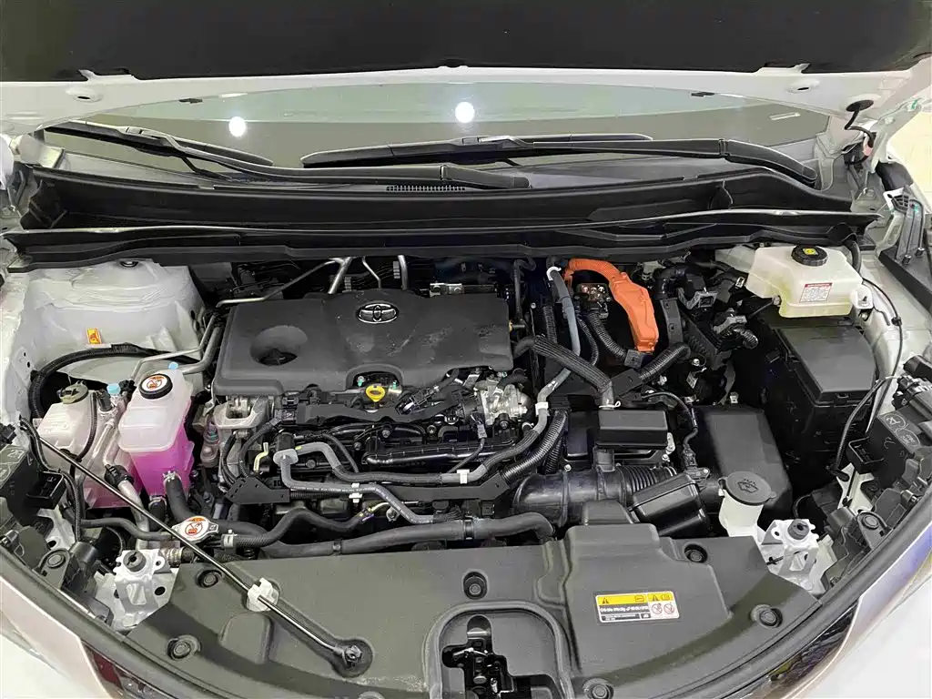 Toyota Sienna 2024 2.5L Hybrid 4WD Premium Edition фото 14