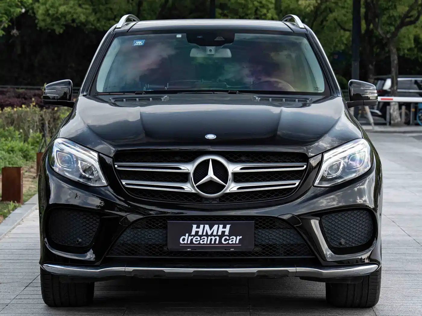 Mercedes-Benz GLE 2017 GLE 320 4MATIC Luxury фото 2