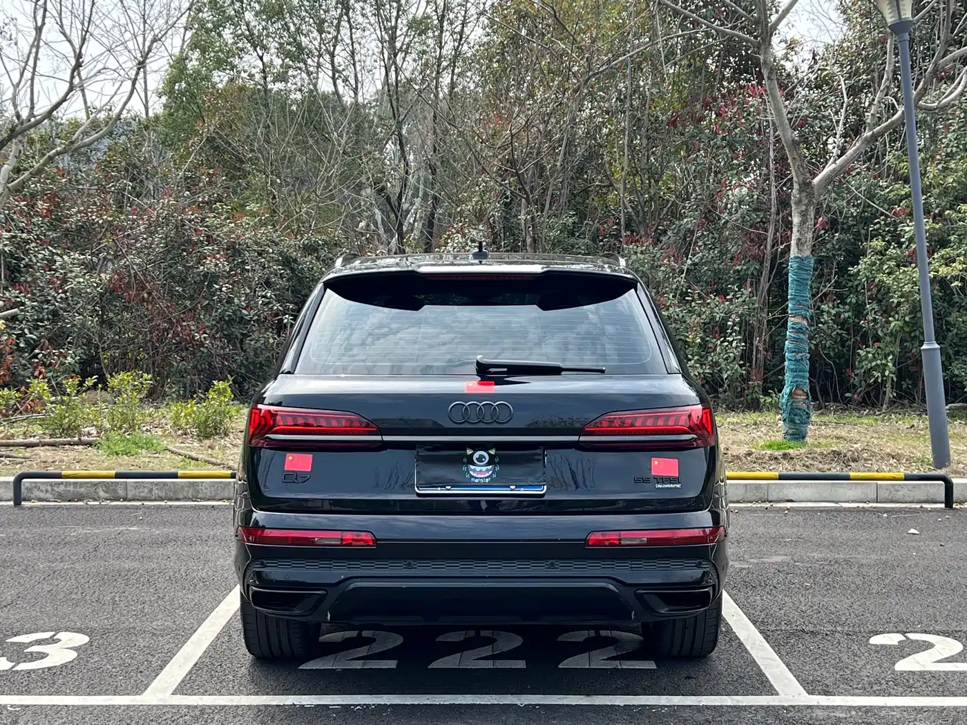 Audi Q7 2020 55 TFSI quattro S line Sport фото 13