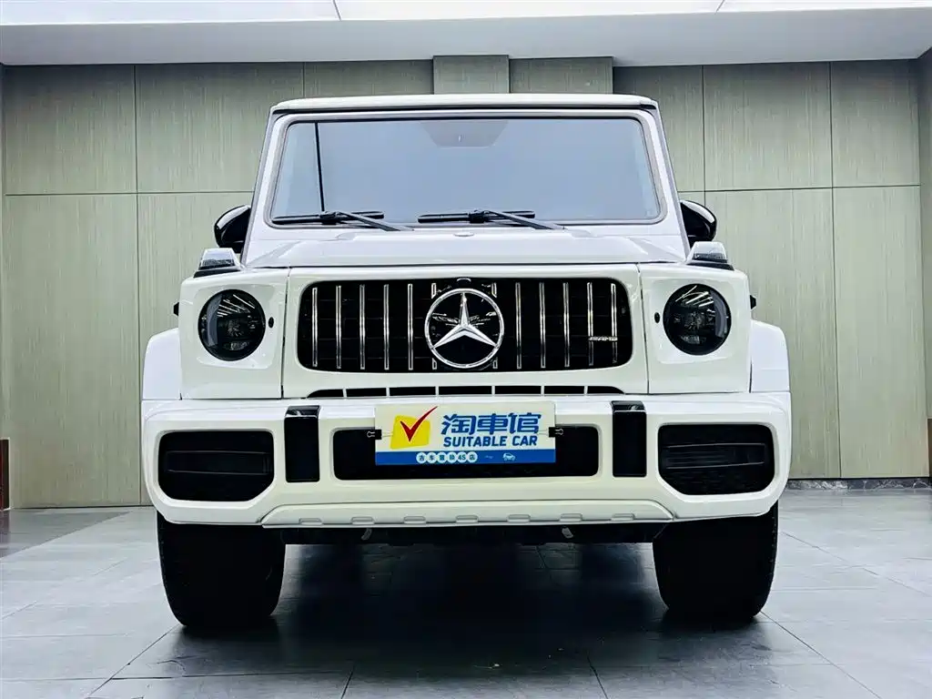 Mercedes-Benz G-Class 2016 G 500 фото 2