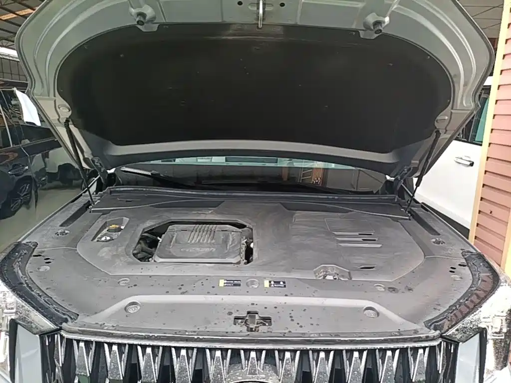 Photo 20 - GAC Trumpchi Trumpchi GS8