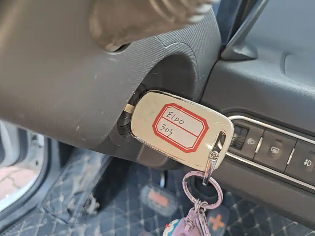 Baojun E100 2021 2020 305KM Intelligent Edition