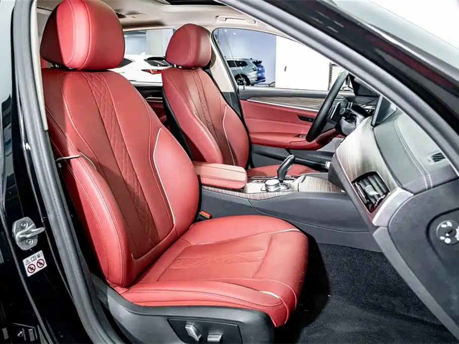 BMW 5 Series 2021 Facelift 530Li Leading Luxury Package фото 20