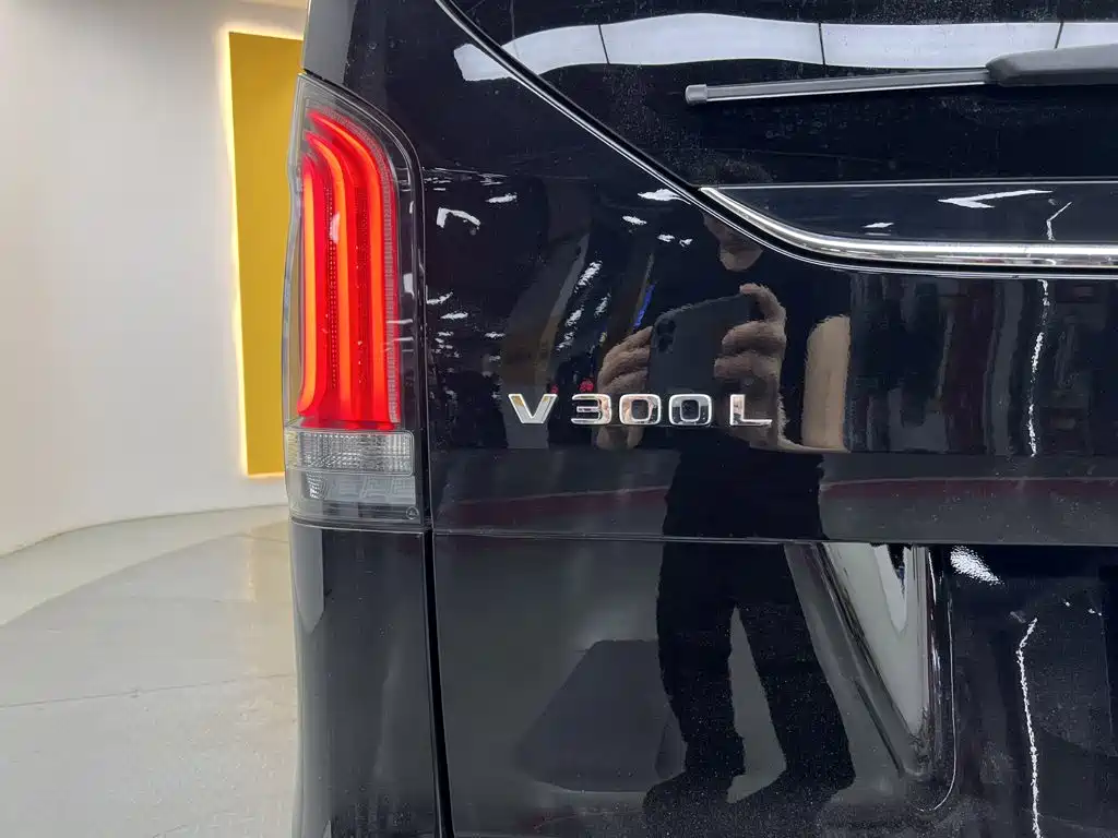 Mercedes-Benz V-Class 2025 2024 V 300 L Long Wheelbase Premium
