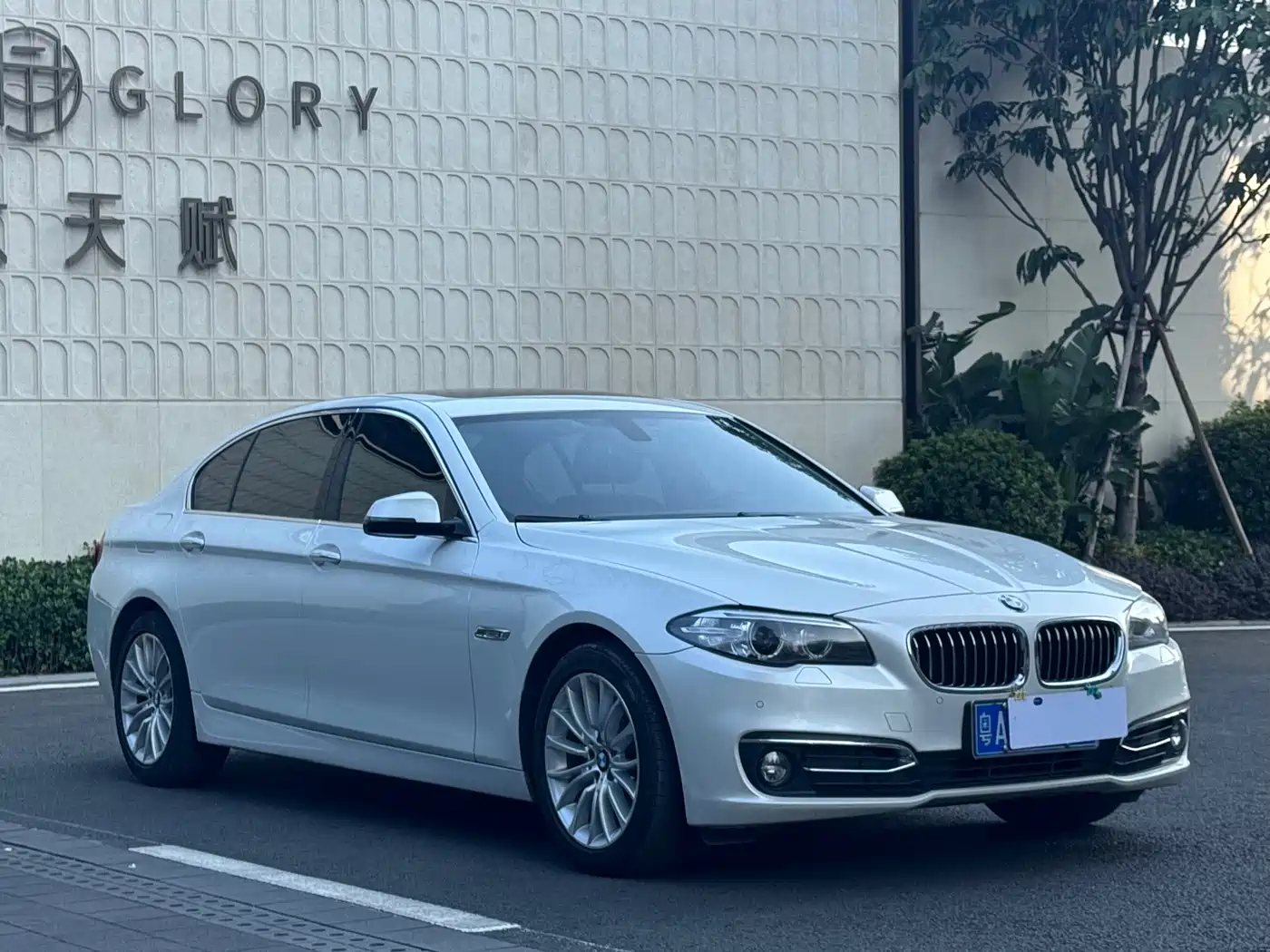 BMW 5 Series 2014 525Li Luxury Design Package фото 3