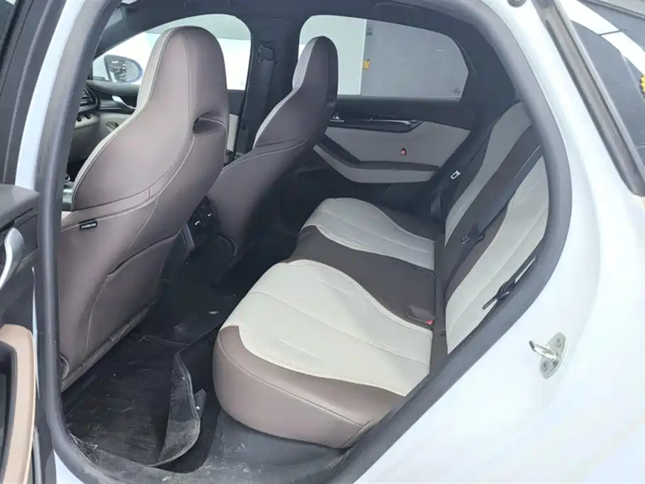 BYD Qin PLUS 2024 Glory Edition DM-i 55KM Leading фото 11