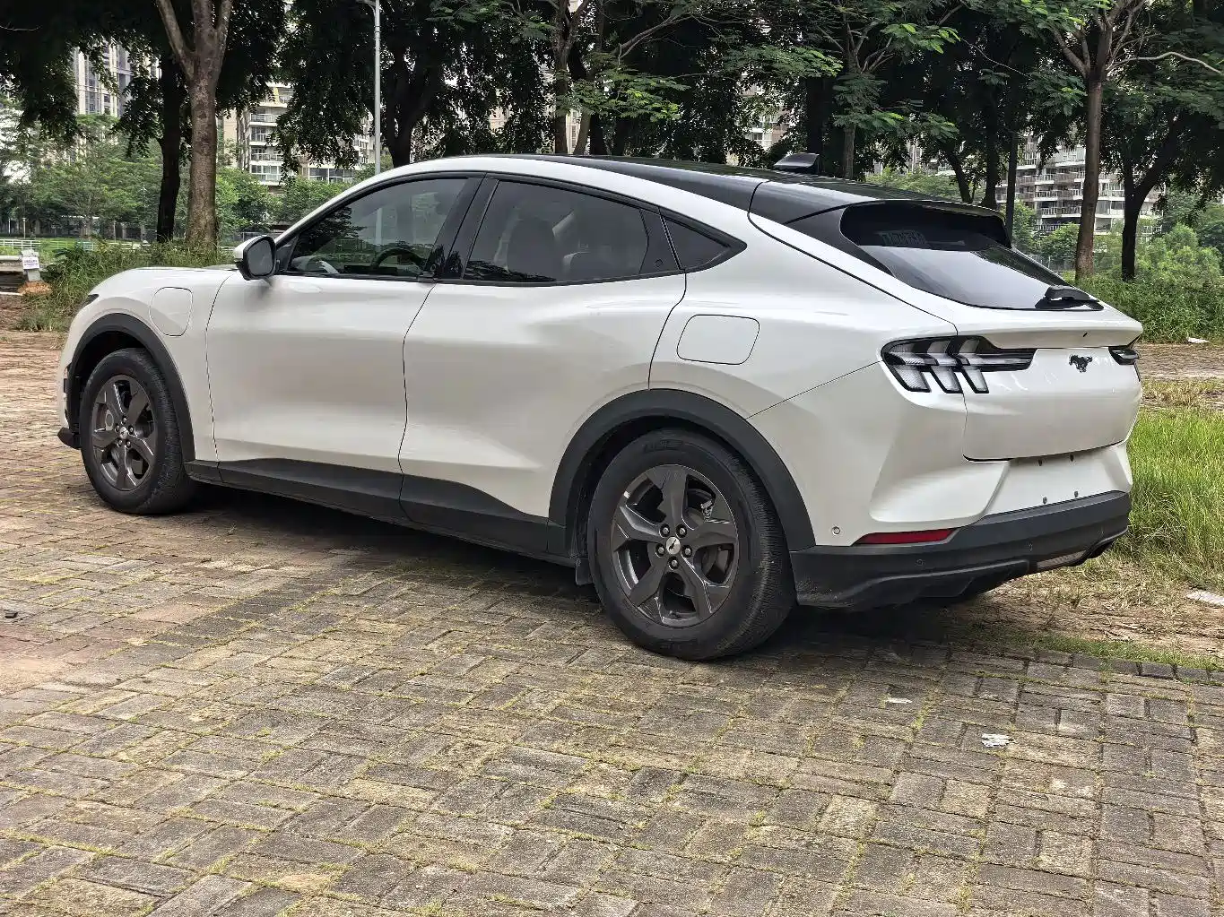 Ford Mustang Mach-E 2023 2021 Leap World RWD (Standard Range)