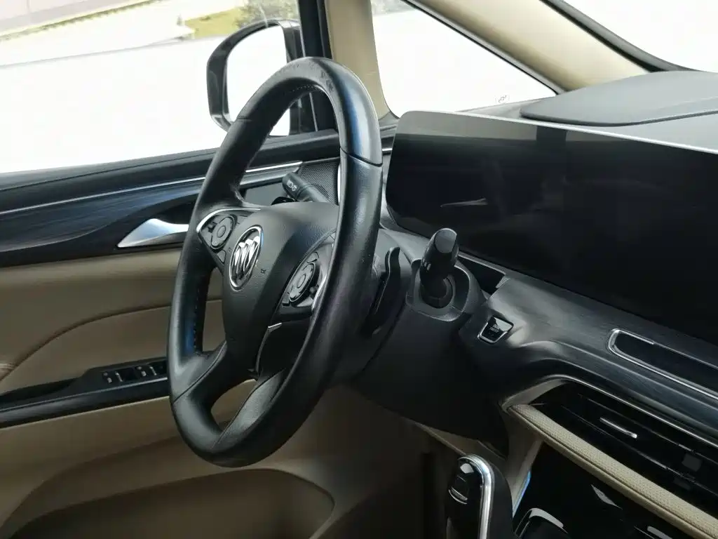 Buick GL8, миниатюра 22