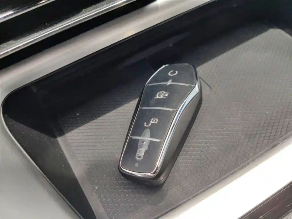 BYD Song Pro New Energy 2023 Champion Edition DM-i 110KM Excellence фото 9