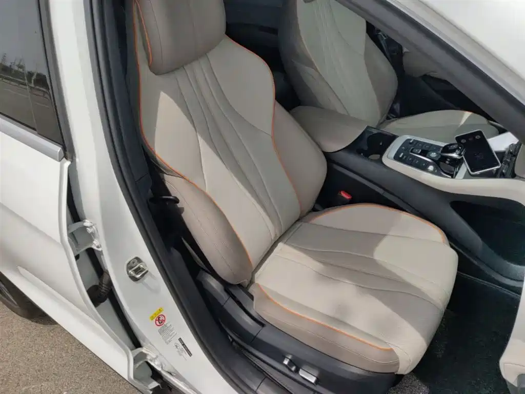 BYD Song Pro New Energy 2023 Champion Edition DM-i 110KM Excellence фото 25