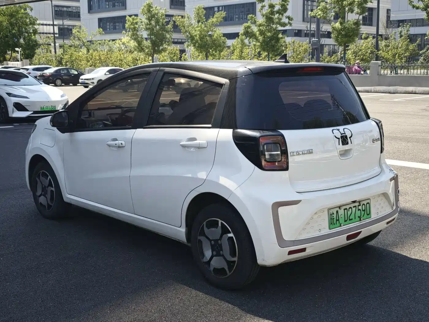 Sehol Flower Fairy 2021 2021 302km Luxury Edition 31.4kWh