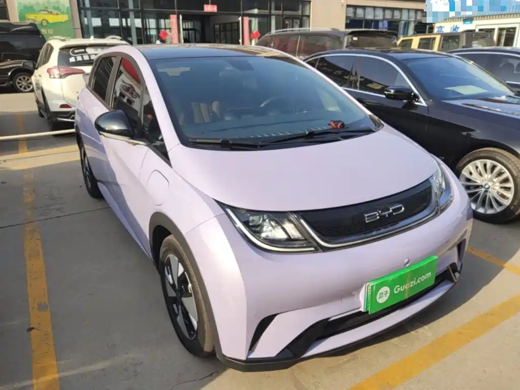 BYD Dolphin 2025 420km Fashion Edition фото 4