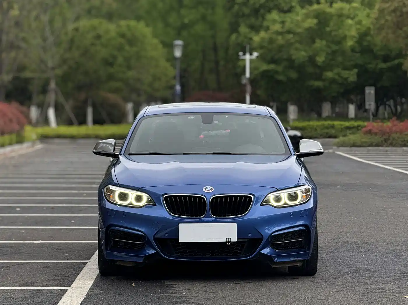 BMW 2 Series (Import) 2016 2017 M240i