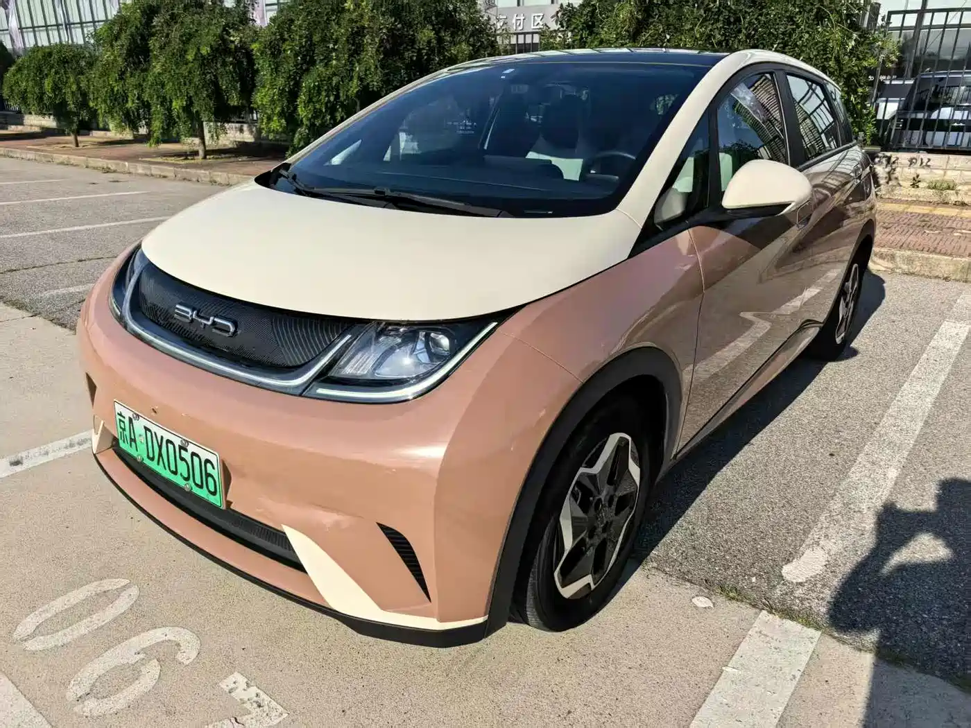 BYD Dolphin 2021