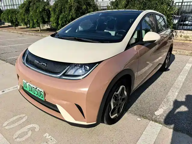 BYD Dolphin 405km, Стиль