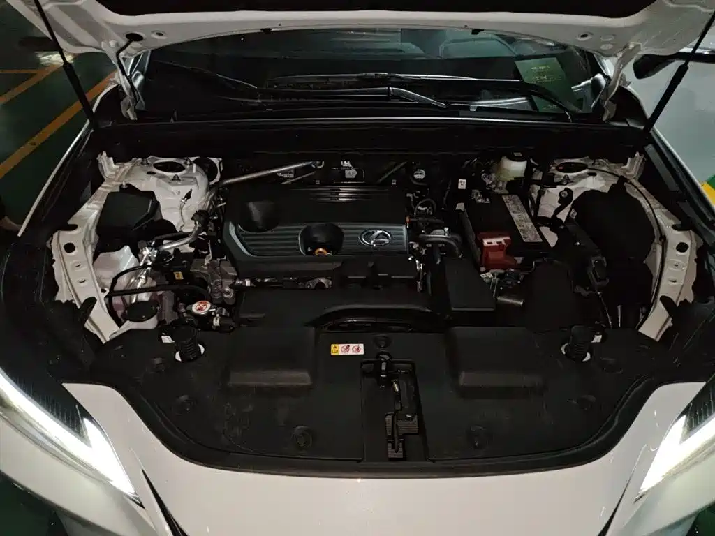 Lexus NX 2025 Model 200 Base Version фото 21