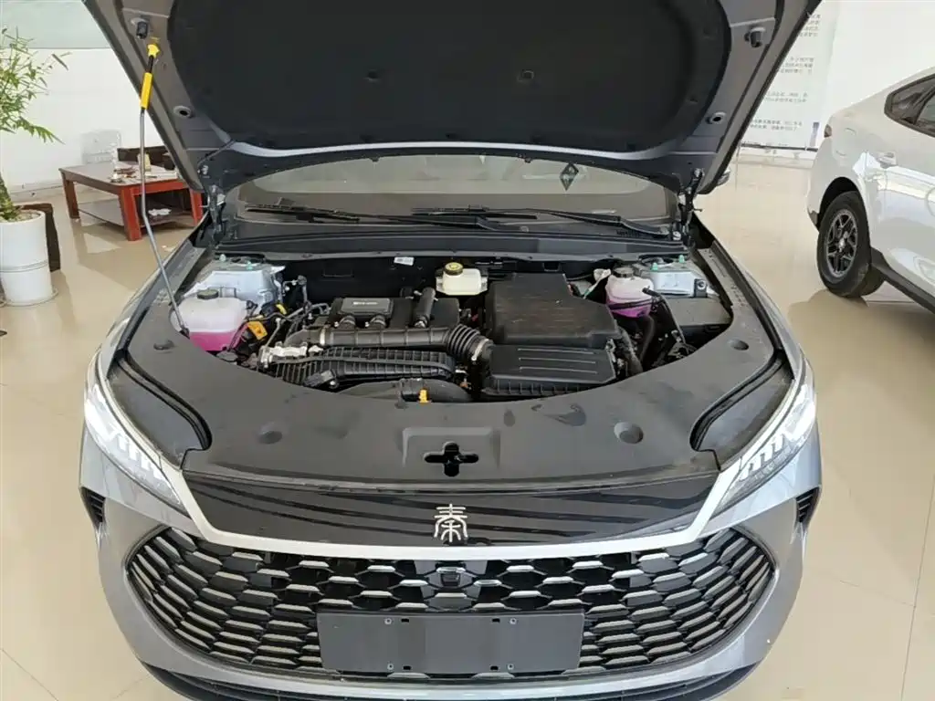 BYD Qin PLUS 2026 DM-i Smart Edition 128KM Progressive фото 20
