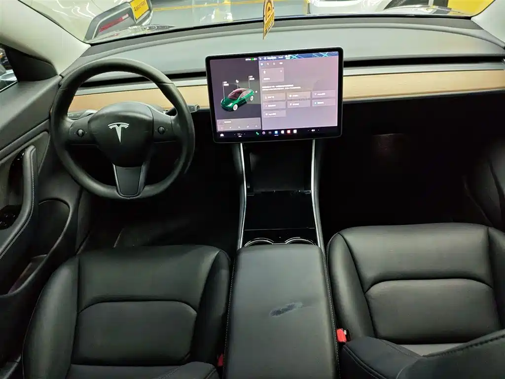 TESLA MODEL 3 (IMPORTED)