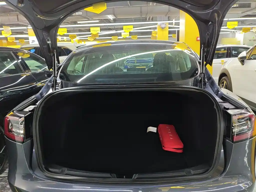 TESLA MODEL 3 (IMPORTED)