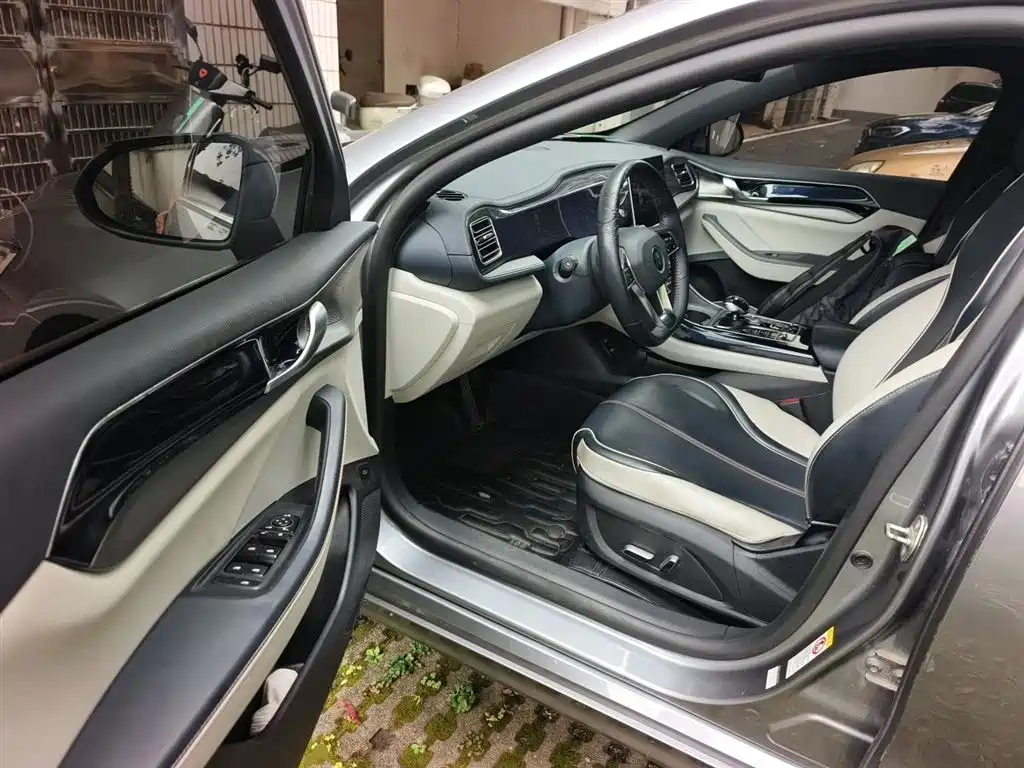 BYD Qin PLUS 2021 DM-i 55KM Flagship фото 13