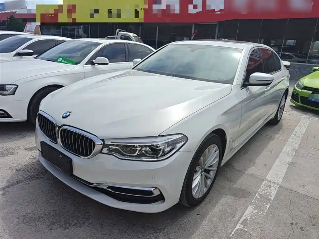BMW 5 Series 2020 530Li xDrive Luxury Package фото 2