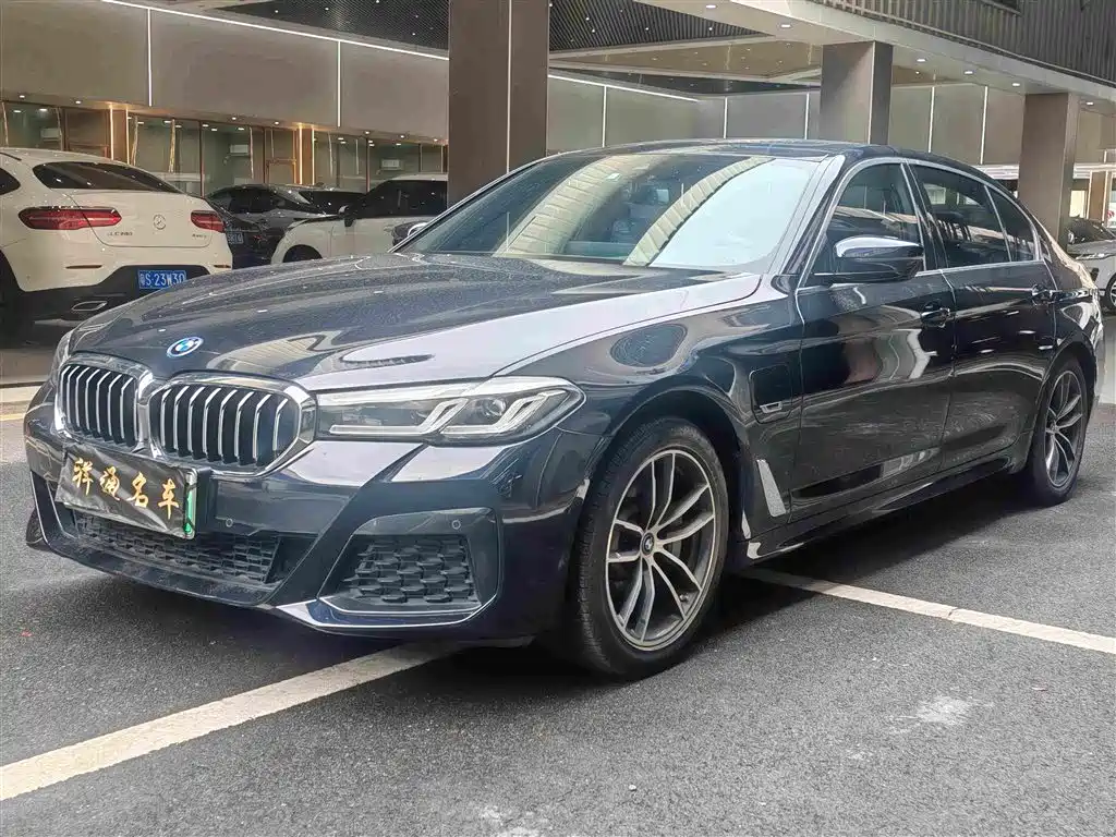 BMW 5 Series New Energy 2022