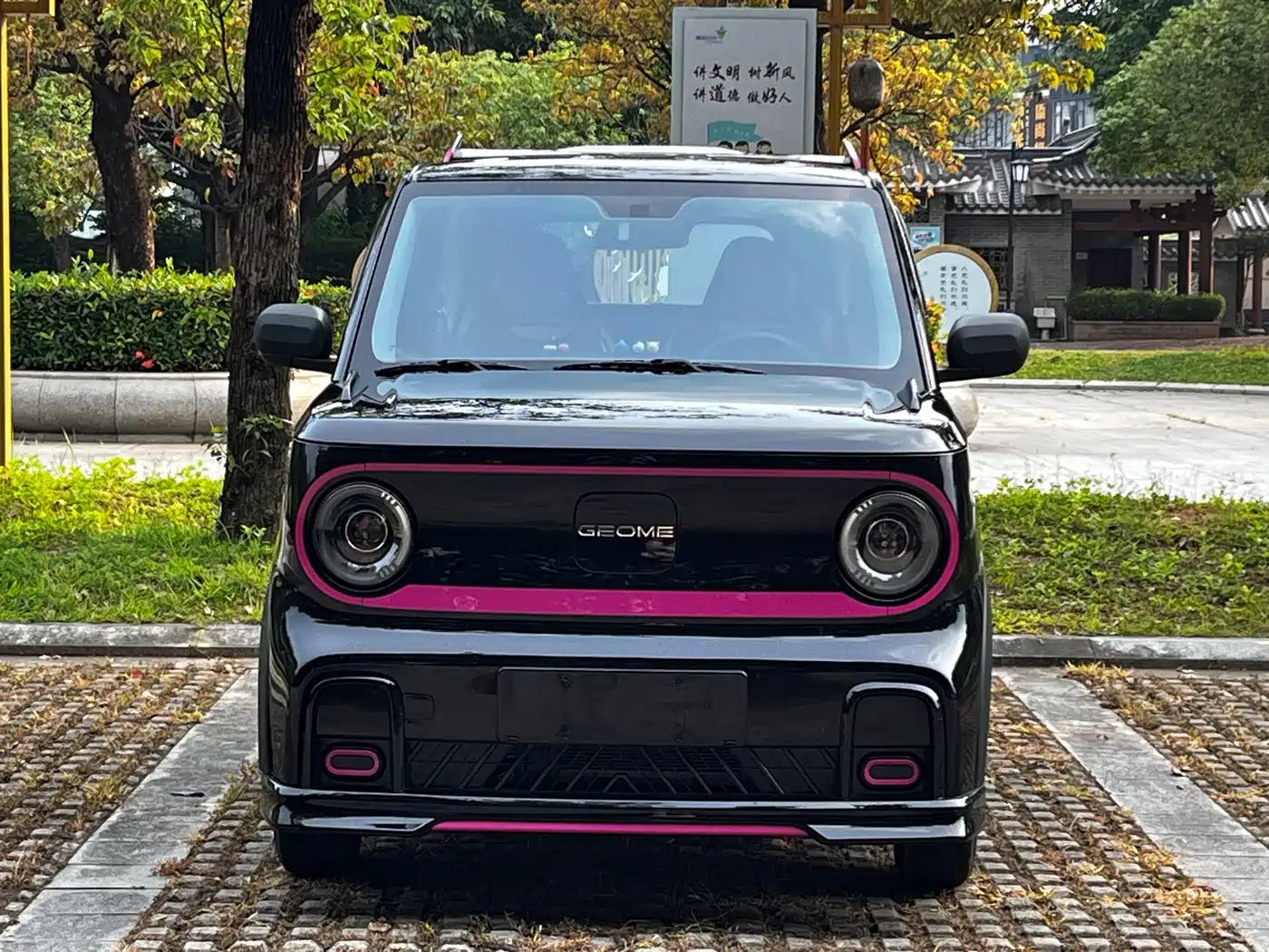 Geely Galaxy Panda 2025 Model Year 210km Panda Kart фото 2