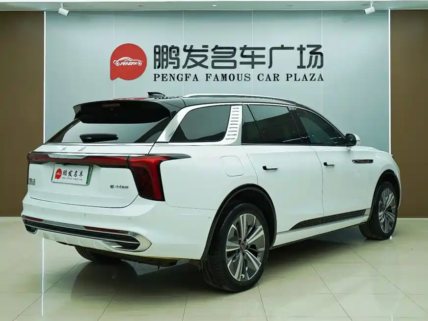 Hongqi E-HS9 2022 660km Qi Chang Edition (6-seater) фото 20