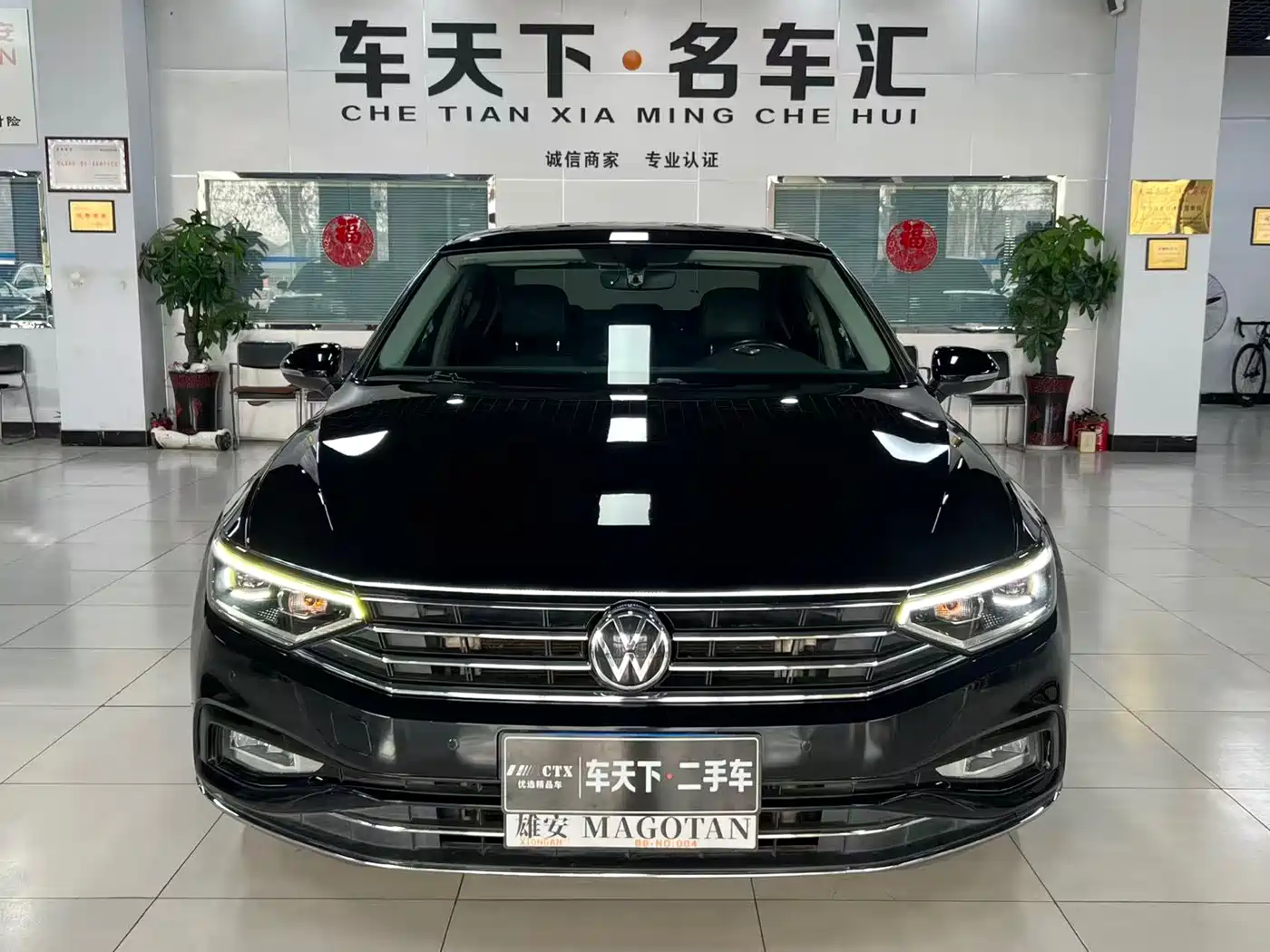 VOLKSWAGEN MAGOTAN