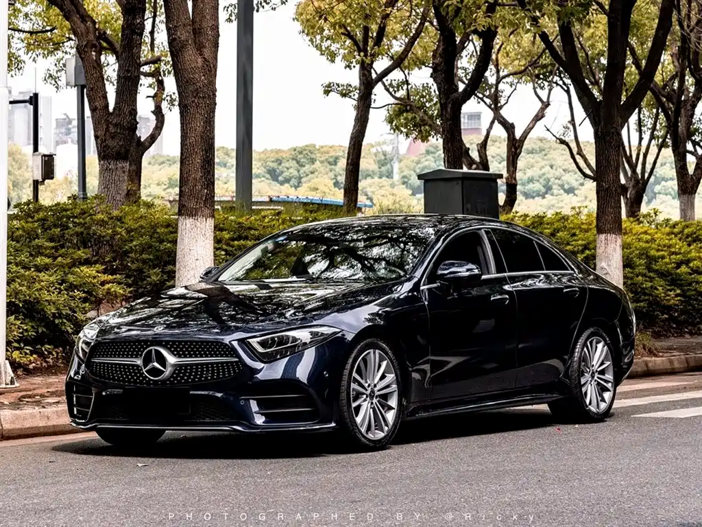  Mercedes-Benz Mercedes-Benz CLS 2018 CLS 300 Luxury