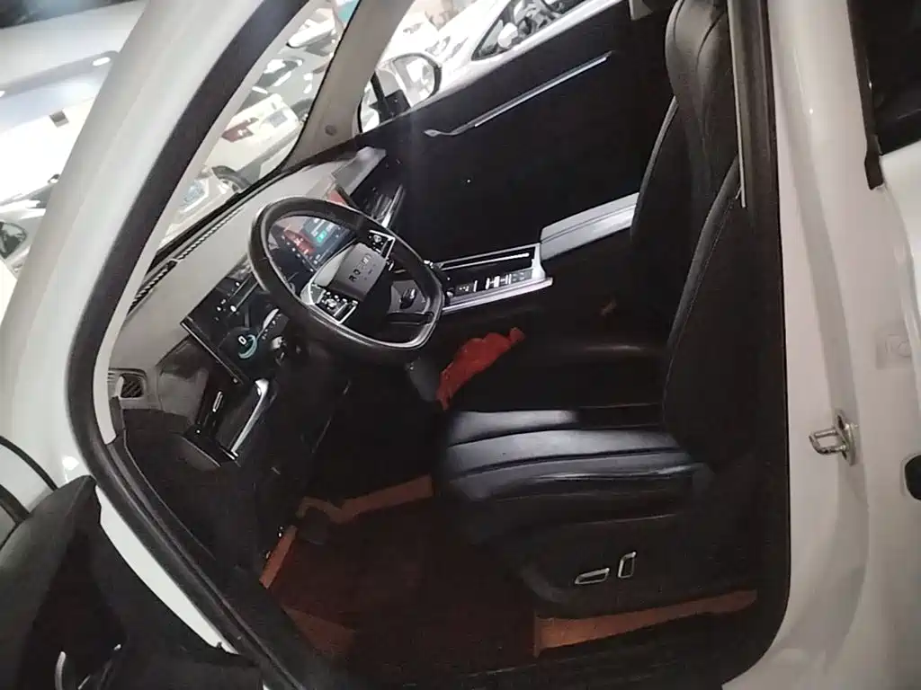 Roewe RX5 MAX 2022 2022 1.5T Auto Promising Premium Edition