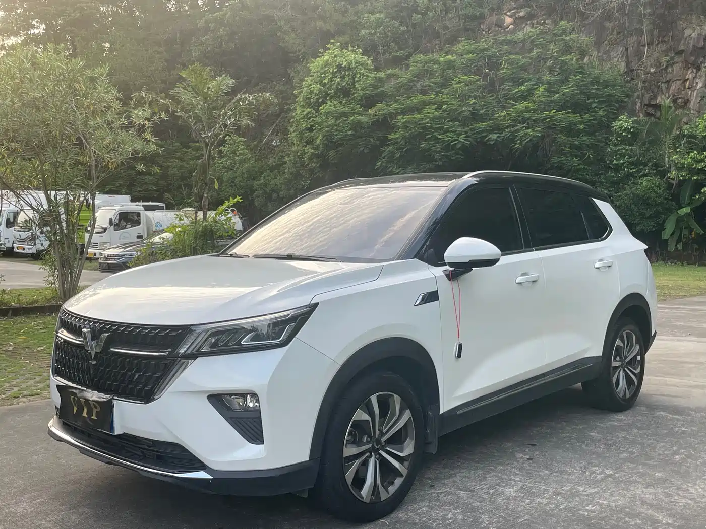 Фото 1 - Wuling Motors Wuling Xingchen