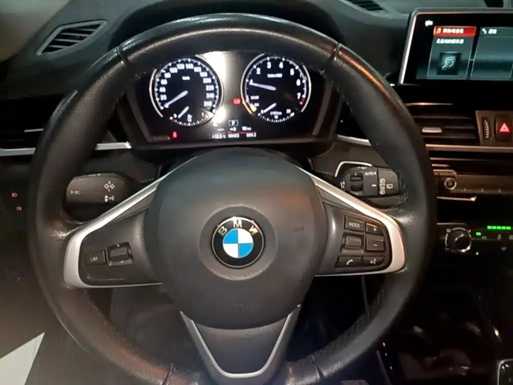 BMW X2 (Import) 2019 2019 sDrive20i M Off-Road Package China VI