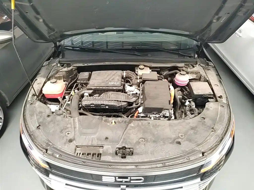 BYD Destroyer 05 2024 Glory Edition DM-i 55KM Luxury фото 20