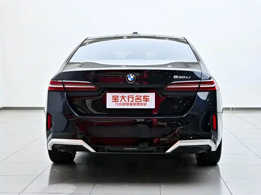 BMW 5 Series 2024 530Li Leading M Sport Package фото 8
