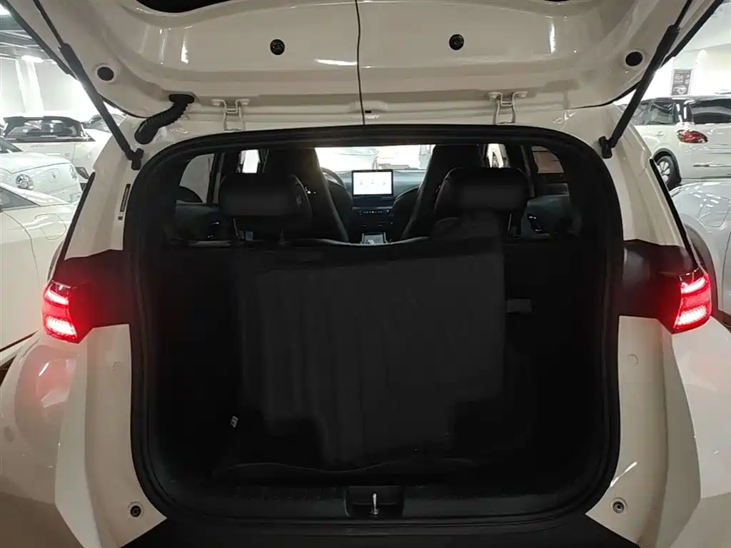 BYD Seagull 2023 Vitality Edition фото 19
