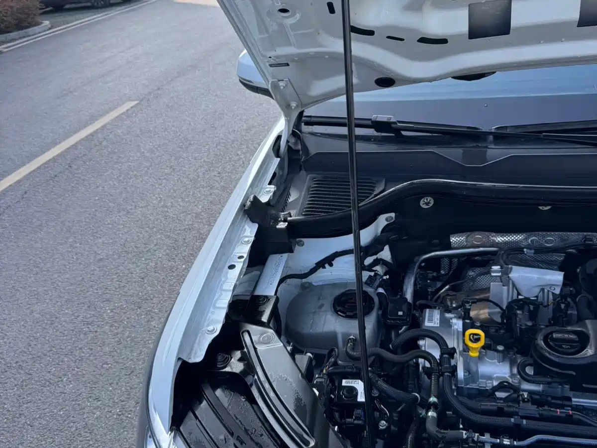 Volkswagen Tharu 2023 300TSI 2WD Full Moon Edition фото 14