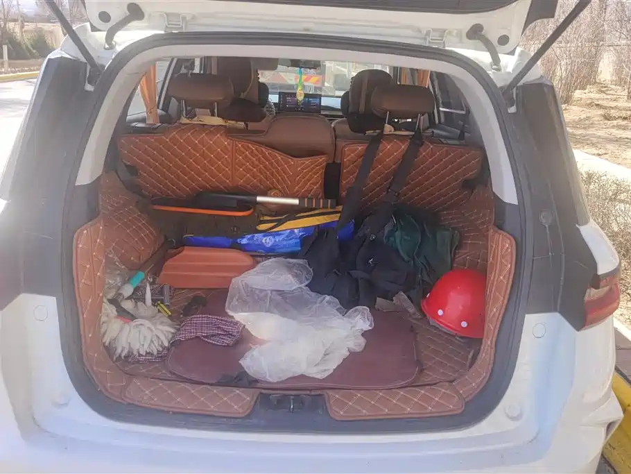 GEELY AUTOMOBILE VISION X6