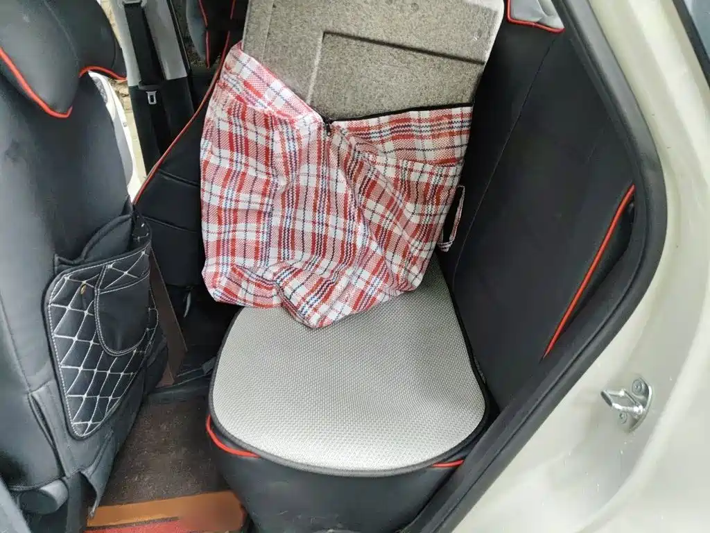 Wuling Motors Wuling Bingo 2025 2024 203km Lite Edition