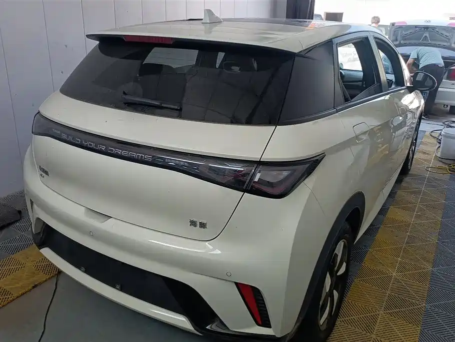 BYD Dolphin 2024 Glory Edition 420km Fashion Edition фото 3