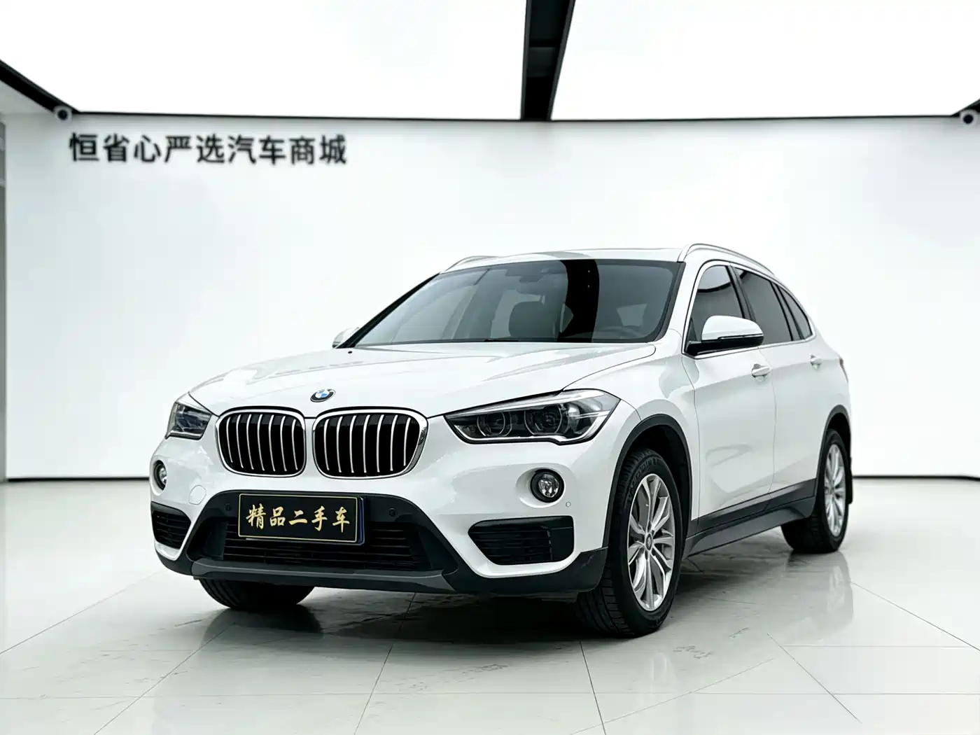 BMW X1 2018 sDrive20Li Leading Model