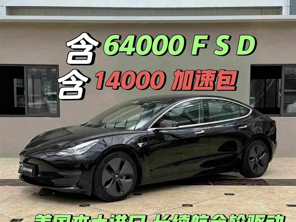 Tesla Model 3 (Import) 2019 2019 Long Range All-Wheel Drive Edition