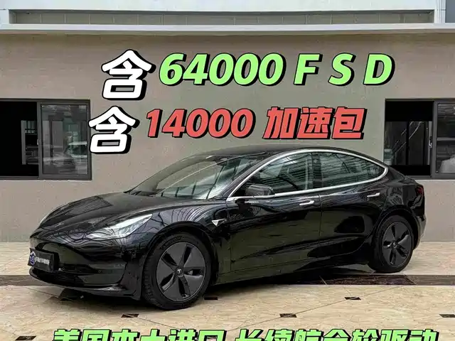  Tesla Model 3 (Import) 2019 Long Range All-Wheel Drive Edition