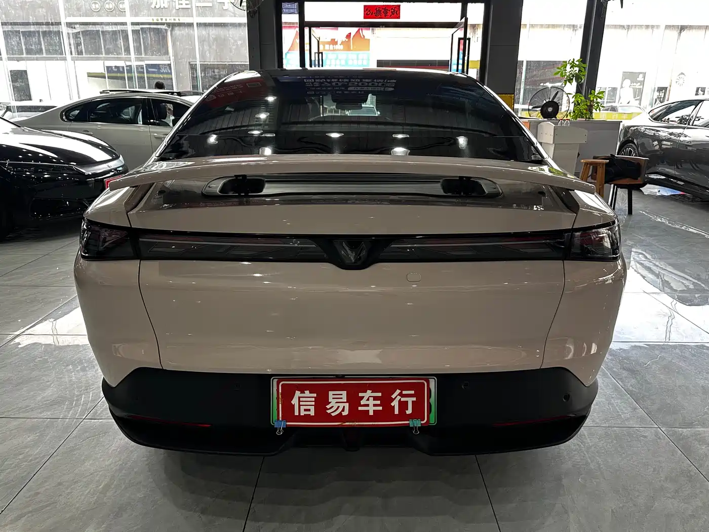 ARCFOX EXTREME FOX POLAR FOX ALPHA S5