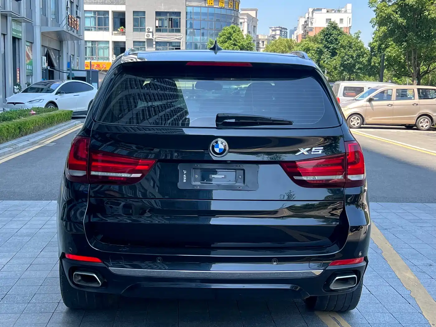 BMW X5 (Import) 2018 xDrive35i Elegant Model фото 6