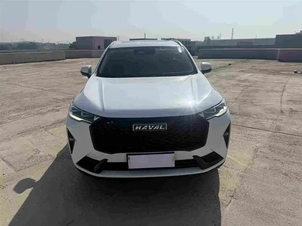 Haval H6 2021 3rd Generation 2.0T Auto AWD Max фото 2