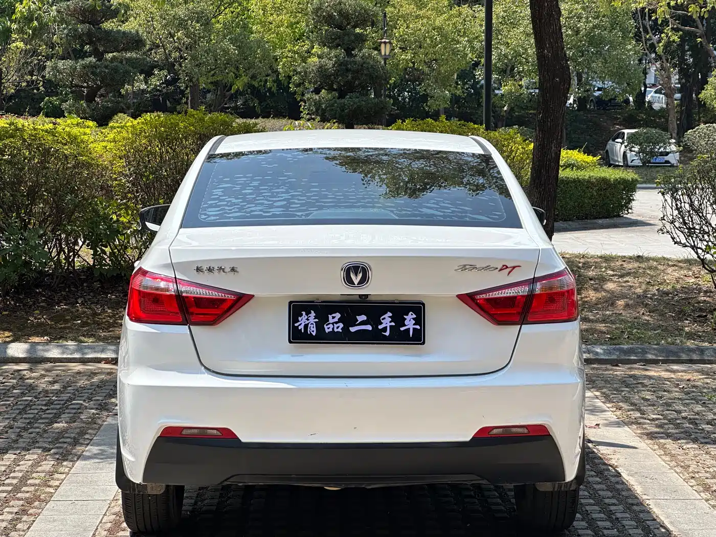 CHANGAN YIDONG DT
