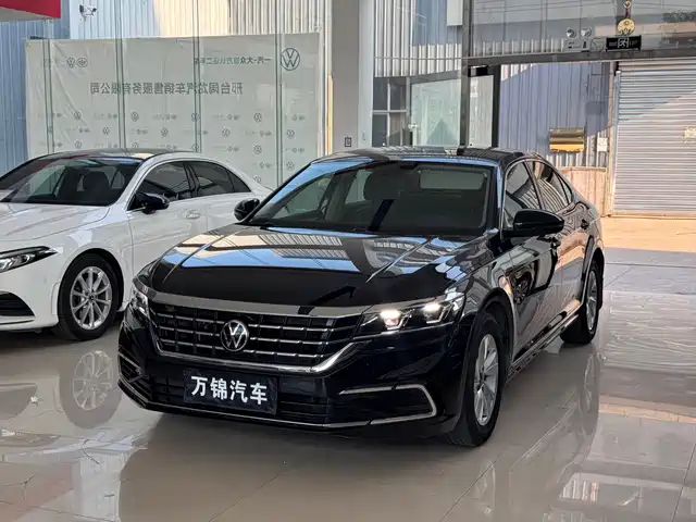 Volkswagen Passat 280TSI, Бизнес